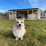 Cherry House