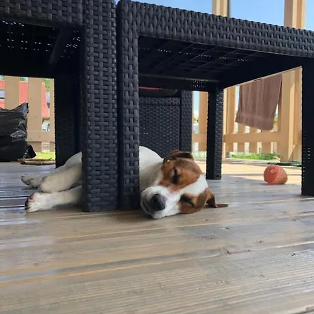 別荘 Cherry House *