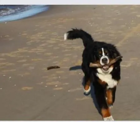 別荘 Cherry House *