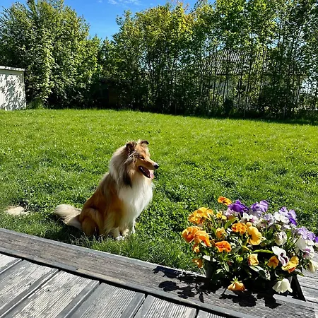 Cherry House * グダニスク