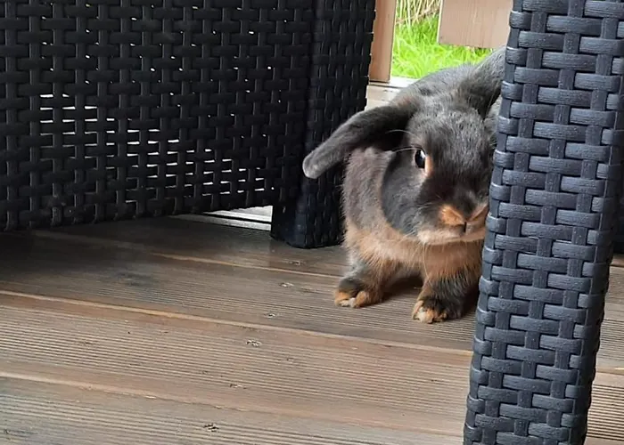 Cherry House Prázdninový dům