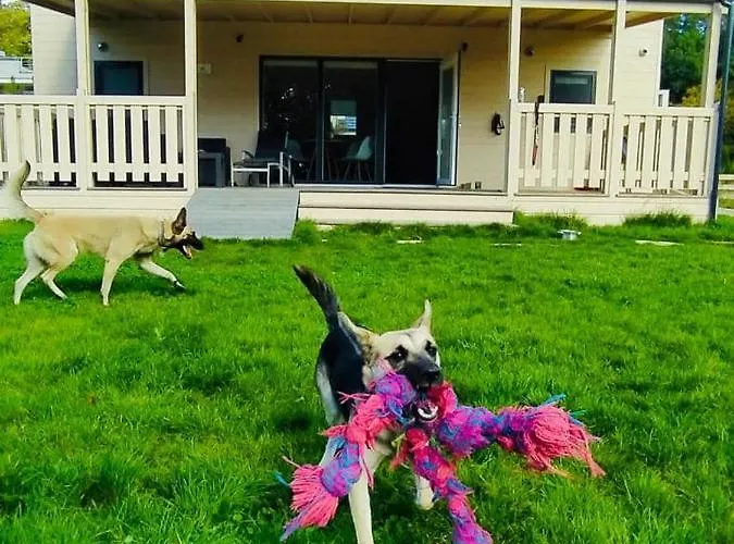 Prázdninový dům Cherry House Gdaňsk