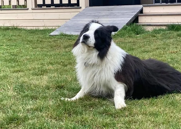 Prázdninový dům Cherry House Gdaňsk