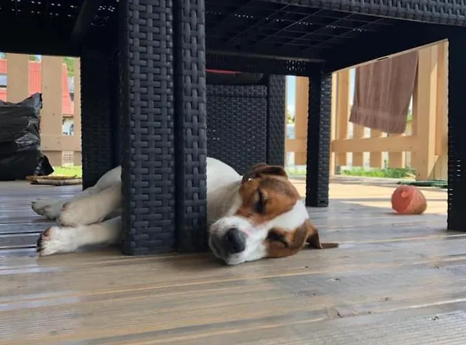 Prázdninový dům Cherry House *