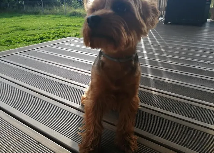 Cherry House Prázdninový dům