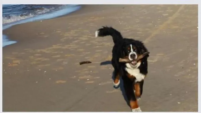 Prázdninový dům Cherry House *