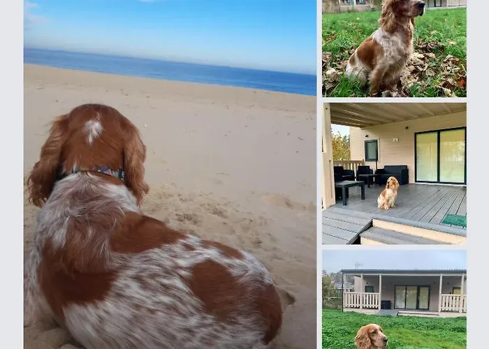 Cherry House Prázdninový dům