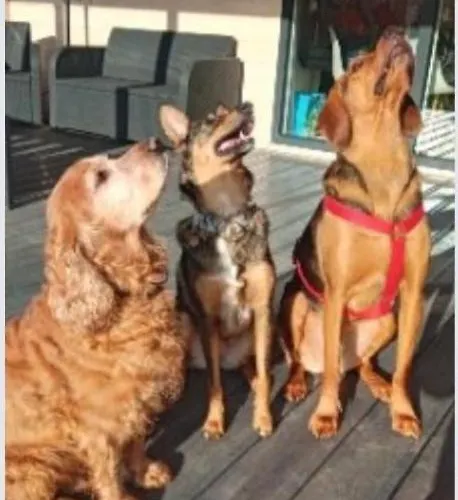 Prázdninový dům Cherry House