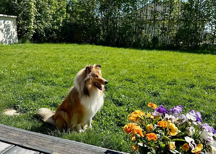 Cherry House * Gdaňsk