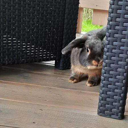 Cherry House Hébergement de vacances