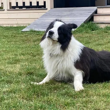 Hébergement de vacances Cherry House Gdańsk