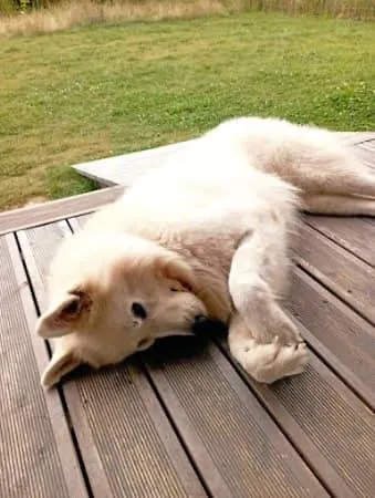 Hébergement de vacances Cherry House Gdańsk